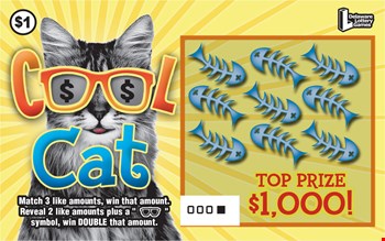 COOL CAT